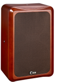 鄭州CBBE CT30A LS/RS前主揚(yáng)聲器